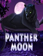 โปร ฝาก 50 ฟรี 100 คุ้มค่าที่สุดสำหรับนักปั่นสล็อต